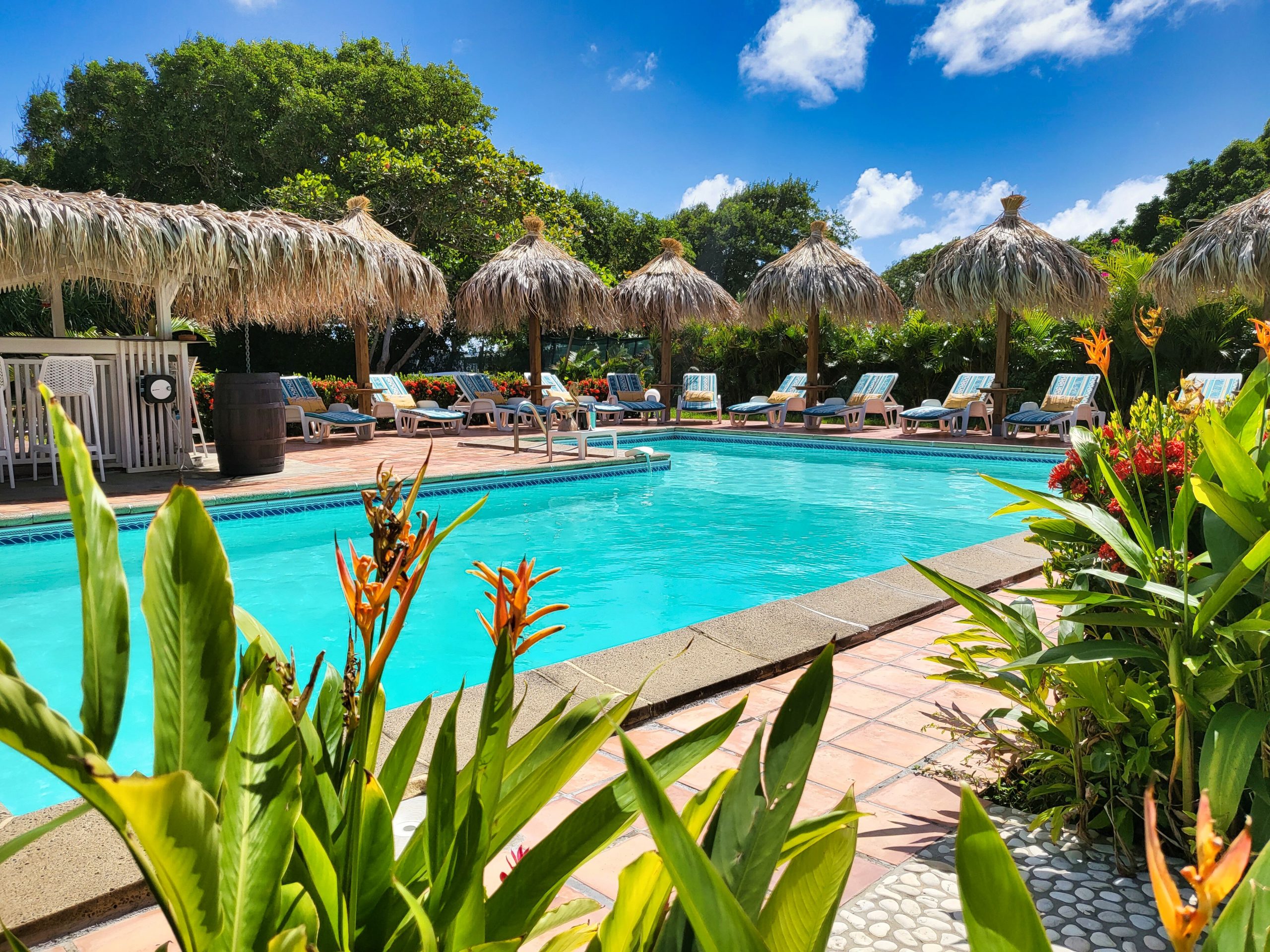 Piscine du Domaine de l'Anse Simon entourée de transats et de plantes tropicales