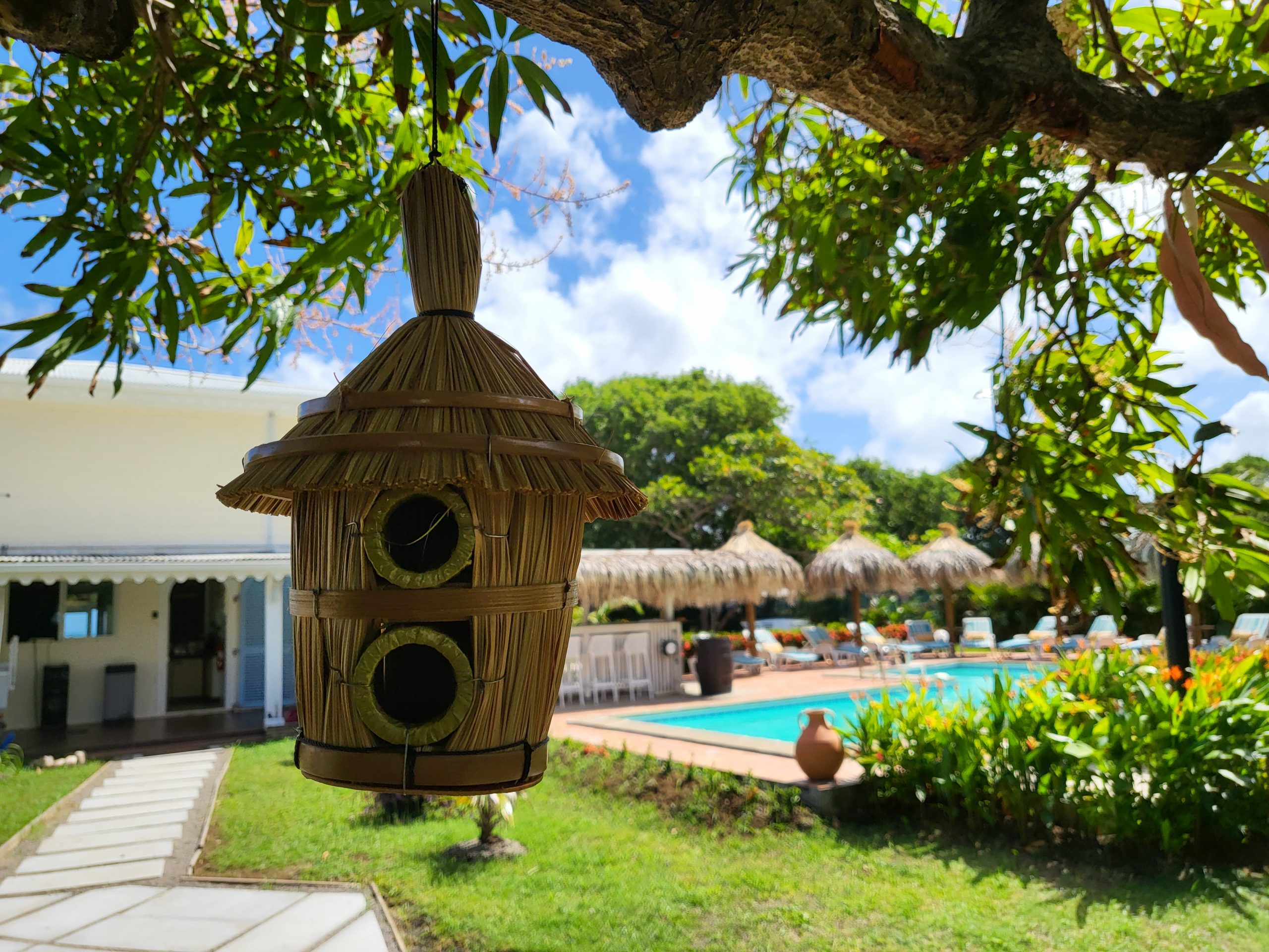 Nichoir en bois et piscine du domaine