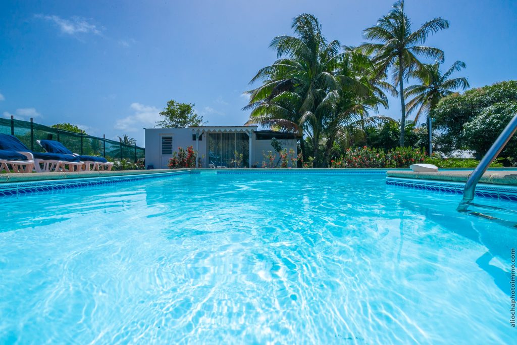 Piscine de la villa et jardin tropical