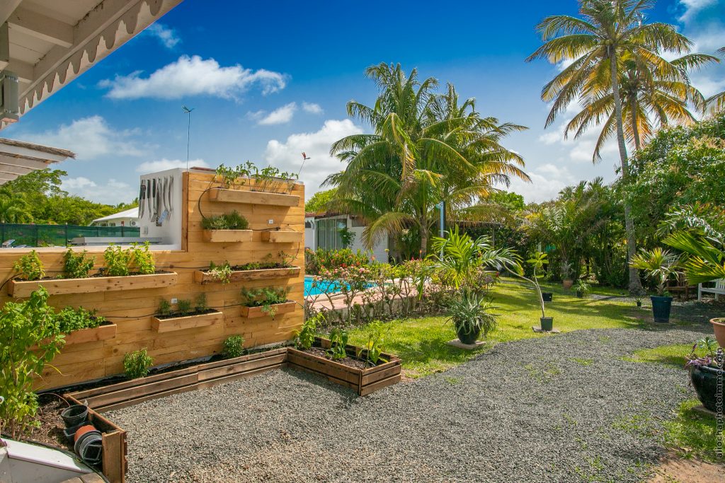 Jardin et palmiers autour de la villa